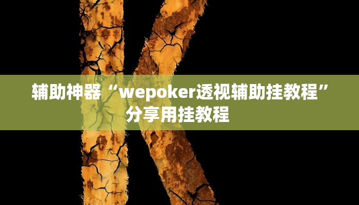 辅助神器“wepoker透视辅助挂教程”分享用挂教程 