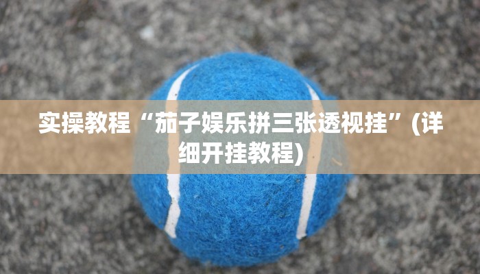 实操教程“茄子娱乐拼三张透视挂”(详细开挂教程)