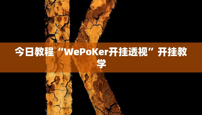 今日教程“WePoKer开挂透视”开挂教学 今日教程“WePoKer开挂透视”开挂教学