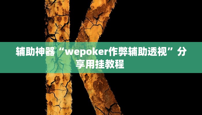 辅助神器“wepoker作弊辅助透视”分享用挂教程 