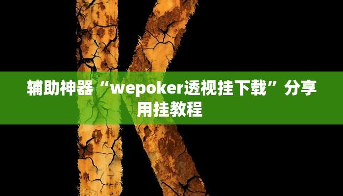 辅助神器“wepoker透视挂下载”分享用挂教程 