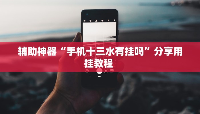 辅助神器“手机十三水有挂吗”分享用挂教程 