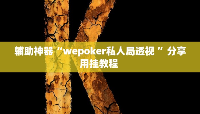 辅助神器“wepoker私人局透视 ”分享用挂教程 