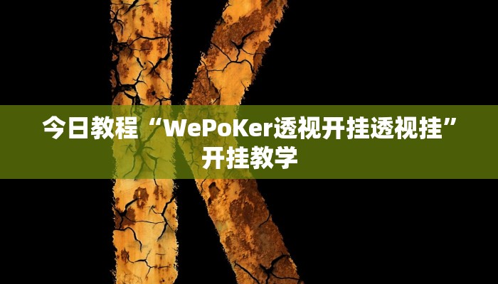 今日教程“WePoKer透视开挂透视挂”开挂教学 今日教程“WePoKer透视开挂透视挂”开挂教学