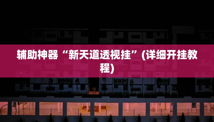 辅助神器“新天道透视挂”(详细开挂教程)