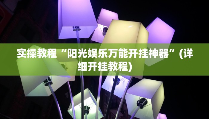 实操教程“阳光娱乐万能开挂神器”(详细开挂教程)