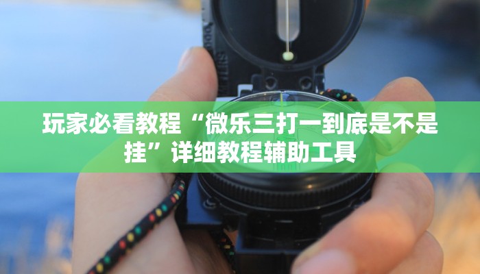玩家必看教程“微乐三打一到底是不是挂”详细教程辅助工具