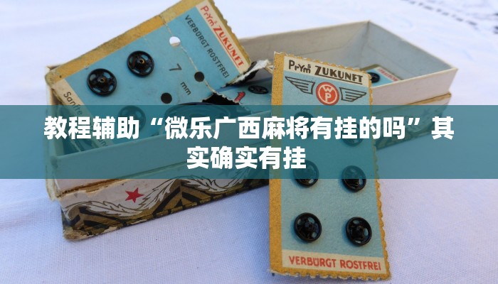 教程辅助“微乐广西麻将有挂的吗”其实确实有挂 