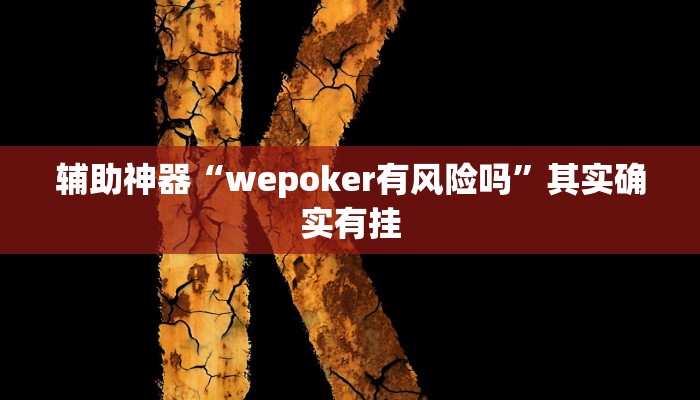 辅助神器“wepoker有风险吗”其实确实有挂