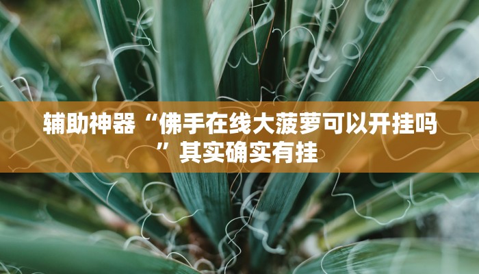 辅助神器“佛手在线大菠萝可以开挂吗”其实确实有挂 
