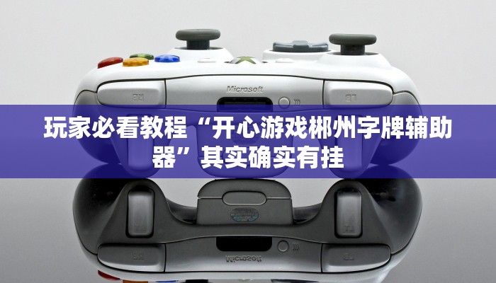 玩家必看教程“白金岛跑得快开挂神器”详细教程辅助工具