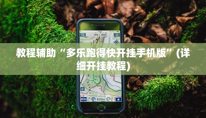 教程辅助“多乐跑得快开挂手机版”(详细开挂教程)