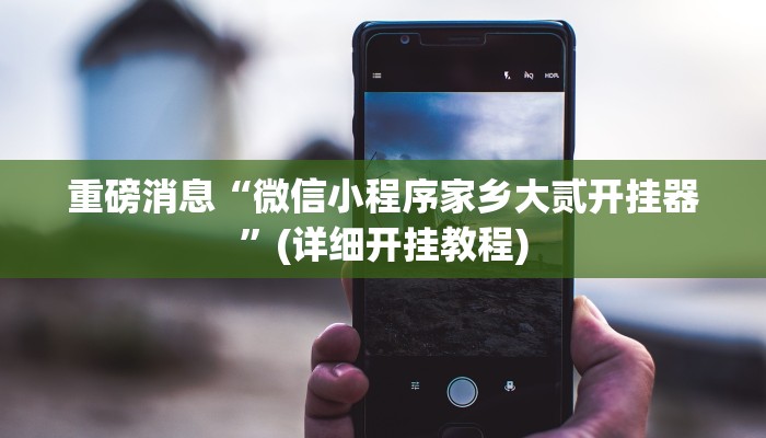 重磅消息“微信小程序家乡大贰开挂器”(详细开挂教程)