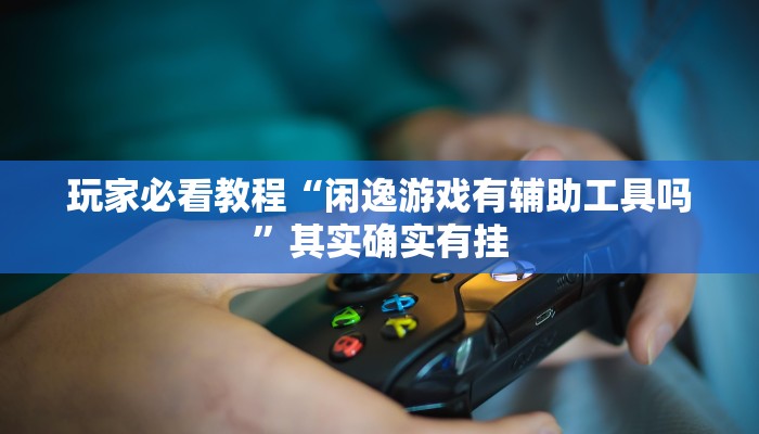 玩家必看教程“闲逸游戏有辅助工具吗”其实确实有挂