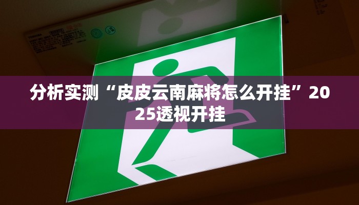 教程分享“博乐填大坑开挂怎么使用的”2025透视开挂