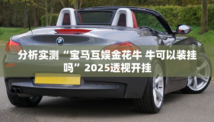 辅助神器“叮叮麻将有没有挂”其实确实有挂