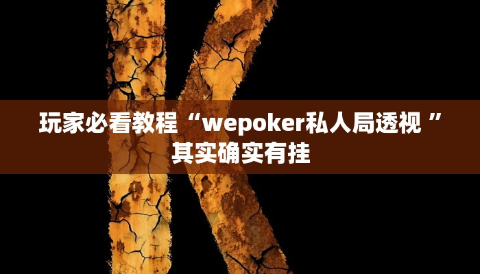 玩家必看教程“wepoker私人局透视 ”其实确实有挂