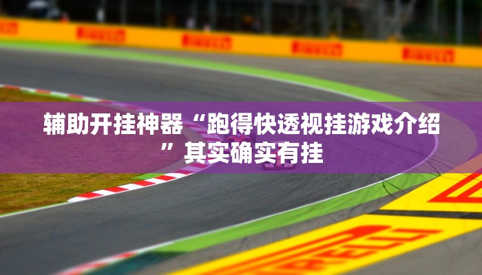 辅助开挂神器“跑得快透视挂游戏介绍”其实确实有挂