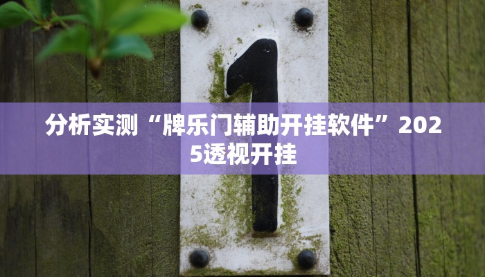 分析实测“牌乐门辅助开挂软件”2025透视开挂