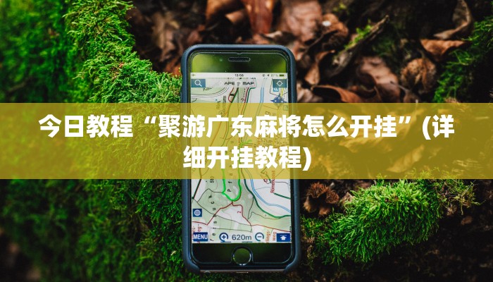 今日教程“聚游广东麻将怎么开挂”(详细开挂教程)