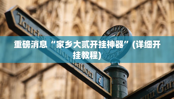 重磅消息“家乡大贰开挂神器”(详细开挂教程)