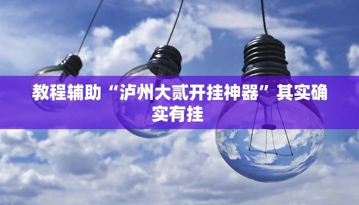 教程辅助“泸州大贰开挂神器”其实确实有挂 教程辅助“泸州大贰开挂神器”其实确实有挂