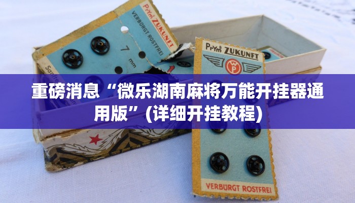重磅消息“微乐湖南麻将万能开挂器通用版”(详细开挂教程)
