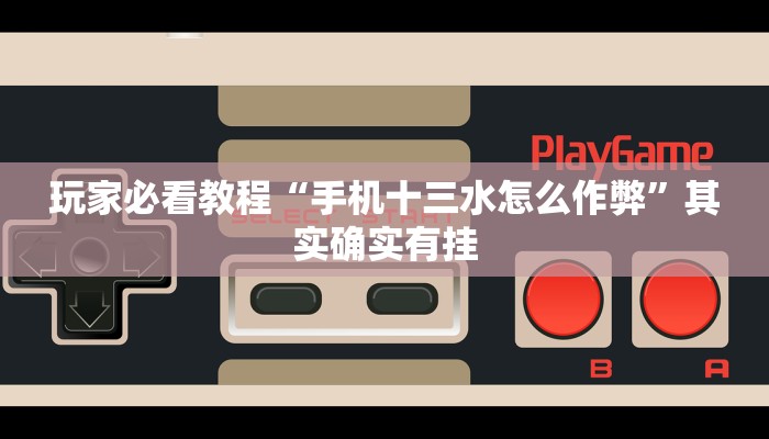 玩家必看教程“手机十三水怎么作弊”其实确实有挂