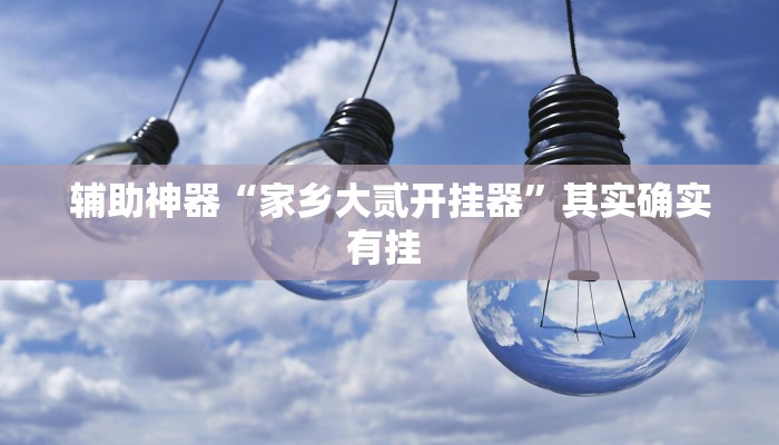 辅助神器“家乡大贰开挂器”其实确实有挂 