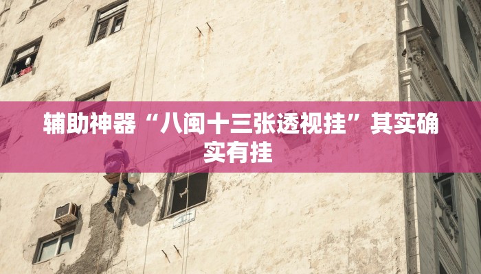 辅助神器“八闽十三张透视挂”其实确实有挂 