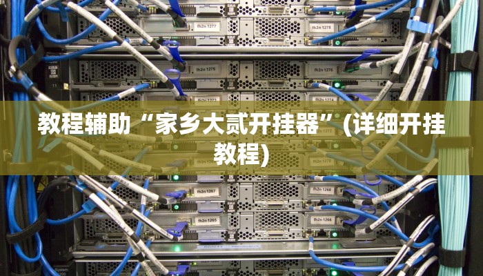 教程辅助“家乡大贰开挂器”(详细开挂教程)