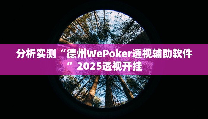 分析实测“德州WePoker透视辅助软件”2025透视开挂
