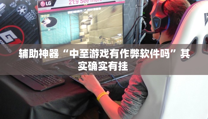 辅助神器“中至游戏有作弊软件吗”其实确实有挂 