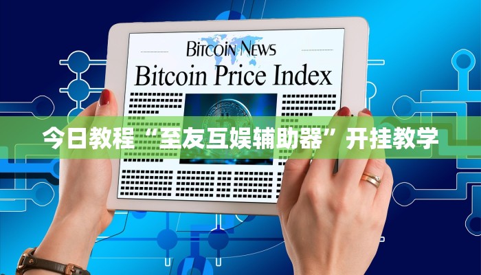 今日教程“至友互娱辅助器”开挂教学