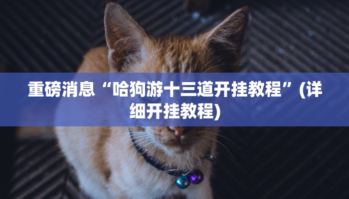 重磅消息“哈狗游十三道开挂教程”(详细开挂教程)