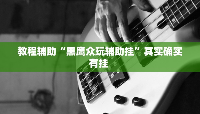 教程辅助“黑鹰众玩辅助挂”其实确实有挂 