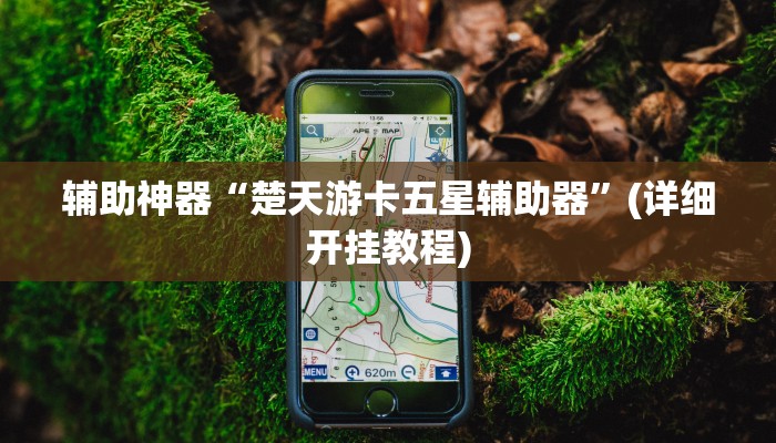 辅助神器“楚天游卡五星辅助器”(详细开挂教程)