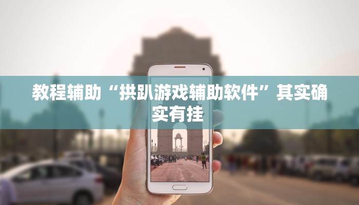 教程辅助“拱趴游戏辅助软件”其实确实有挂 