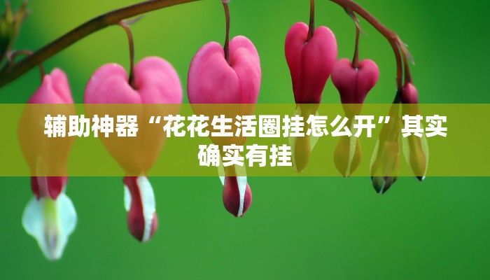 辅助神器“花花生活圈挂怎么开”其实确实有挂