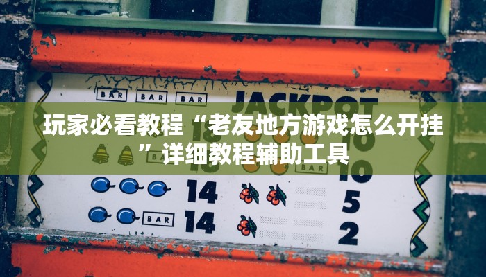 玩家必看教程“老友地方游戏怎么开挂”详细教程辅助工具