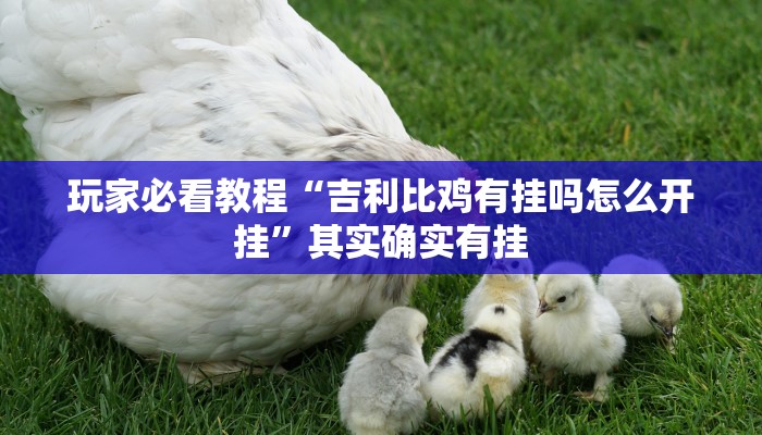 玩家必看教程“吉利比鸡有挂吗怎么开挂”其实确实有挂