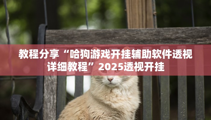 教程分享“哈狗游戏开挂辅助软件透视详细教程”2025透视开挂