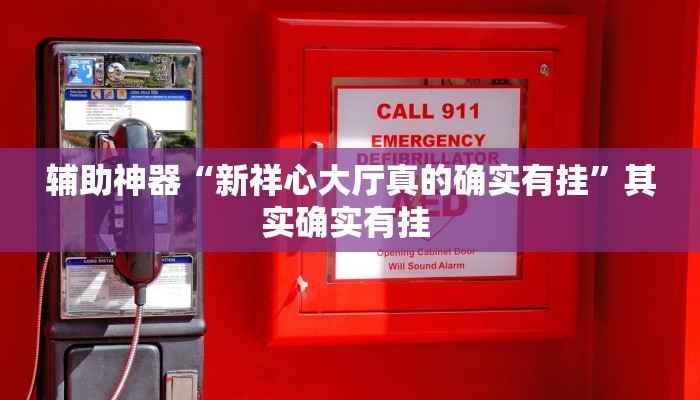 辅助神器“新祥心大厅真的确实有挂”其实确实有挂 