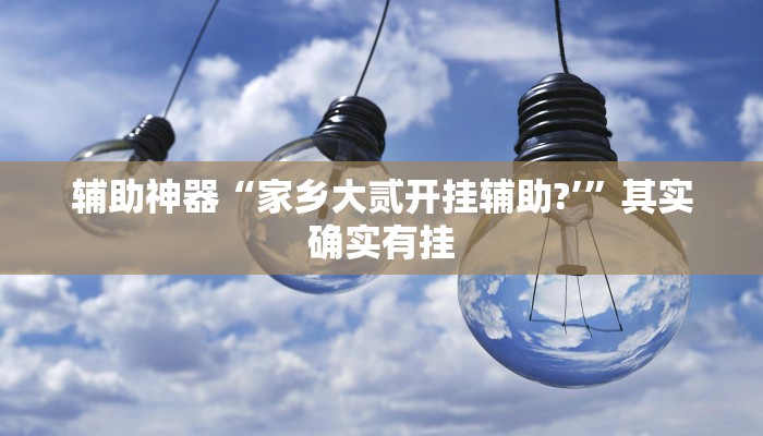 辅助神器“家乡大贰开挂辅助?’”其实确实有挂