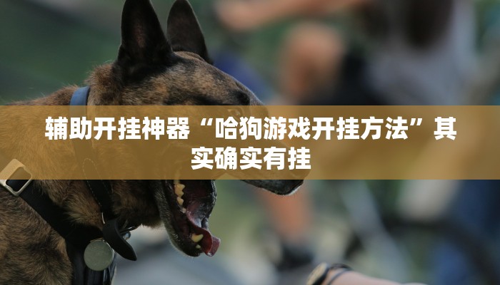 辅助开挂神器“哈狗游戏开挂方法”其实确实有挂
