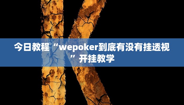 今日教程“wepoker到底有没有挂透视”开挂教学