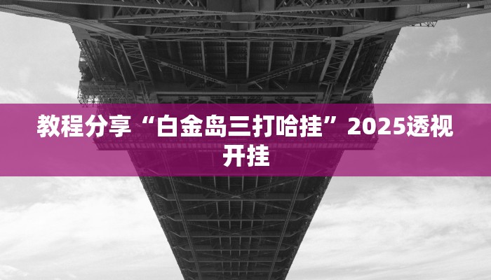 教程分享“白金岛三打哈挂”2025透视开挂