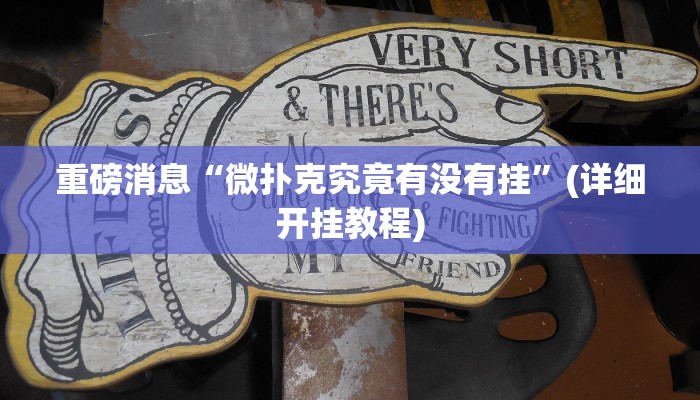 重磅消息“微扑克究竟有没有挂”(详细开挂教程) 重磅消息“微扑克究竟有没有挂”(详细开挂教程)