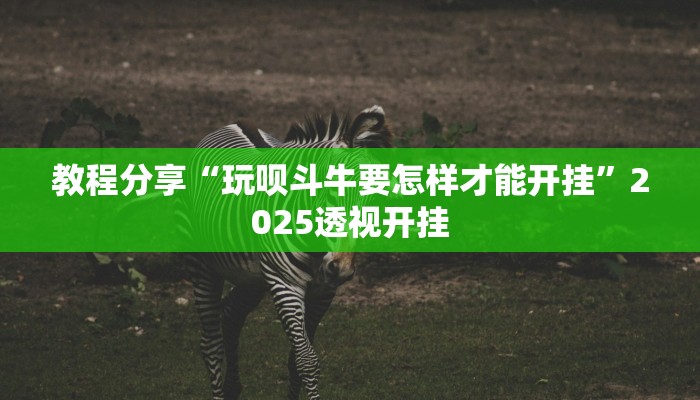 教程分享“玩呗斗牛要怎样才能开挂”2025透视开挂 教程分享“玩呗斗牛要怎样才能开挂”2025透视开挂
