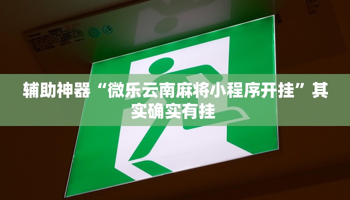 辅助神器“微乐云南麻将小程序开挂”其实确实有挂 